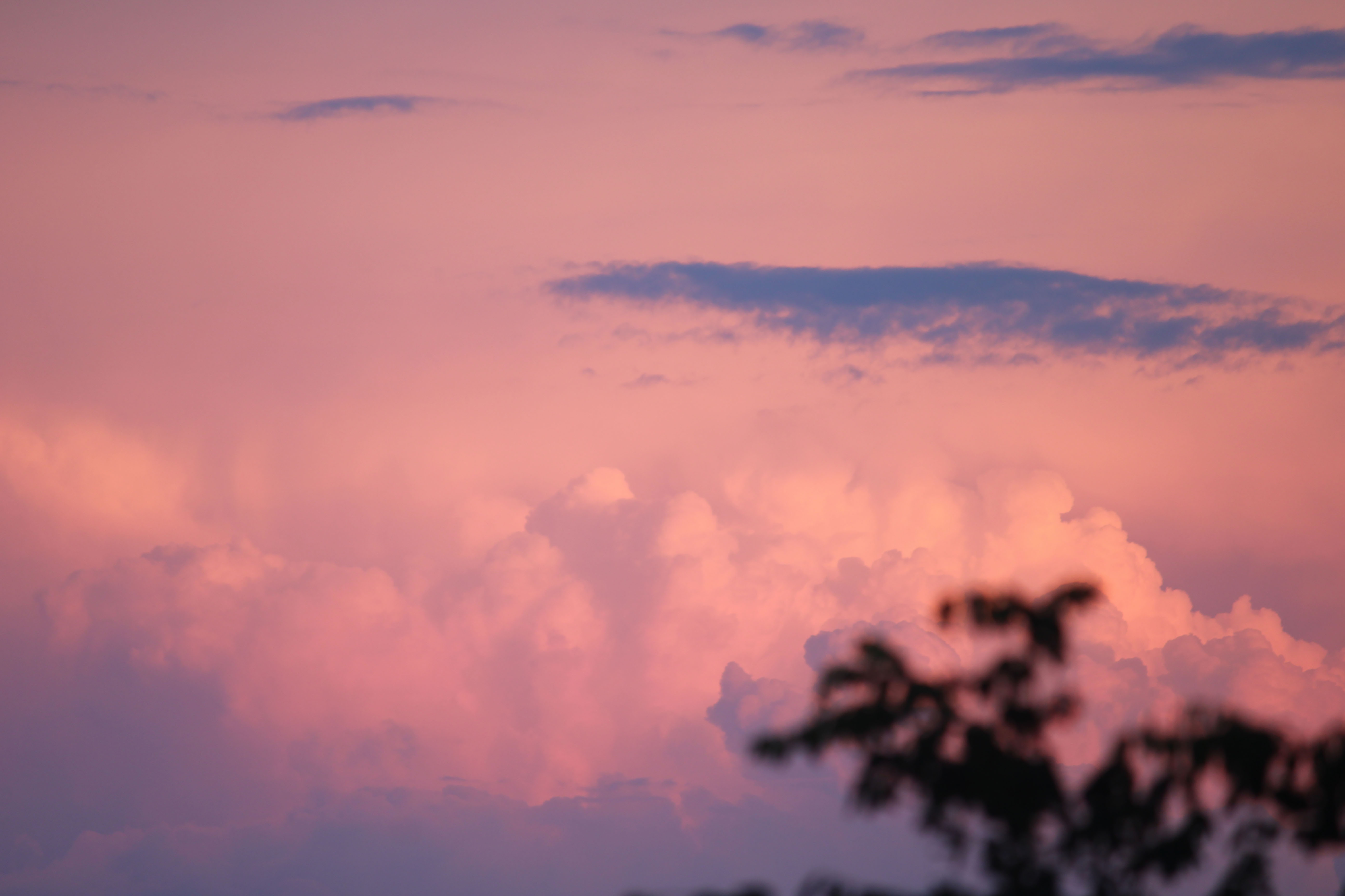 pink clouds